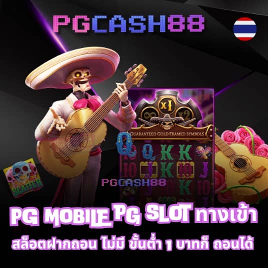 pg wallet 789